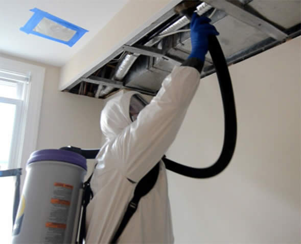 mold-elimination-bonaire